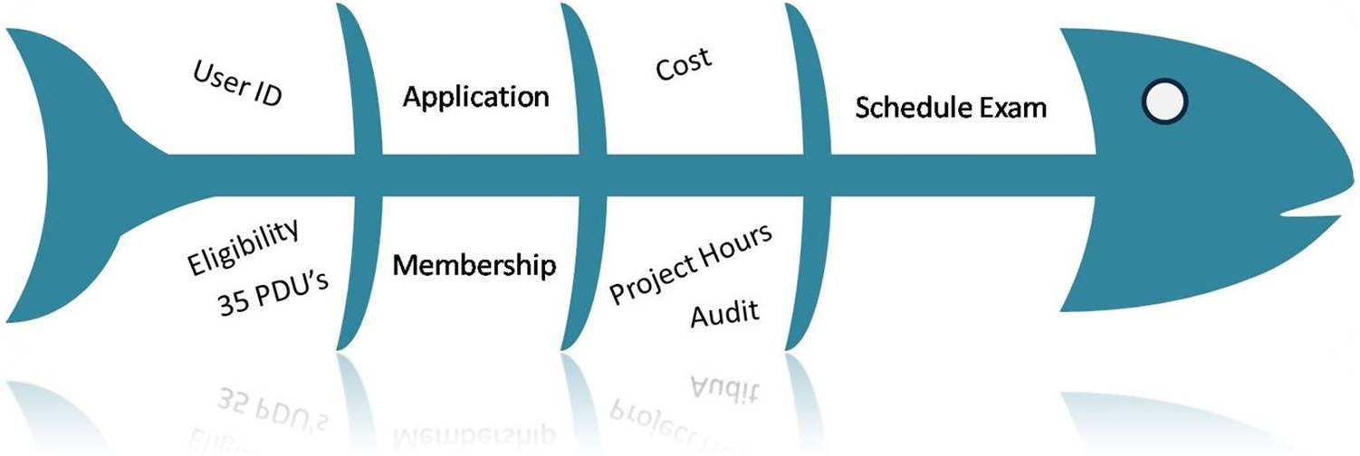 More application. PMP Certification application. 