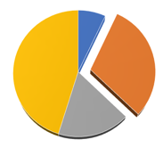 Pie Chart